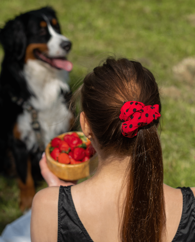 Gumička Polka Dot z viskózy v nízkém culíku, žena drží misku s jahodami, v pozadí pes na trávě